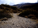 photo thumbnail #1