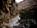 photo thumbnail #14