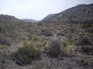 photo thumbnail #3