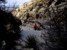 photo thumbnail #12