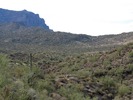 photo thumbnail #9