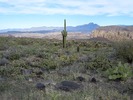 photo thumbnail #11