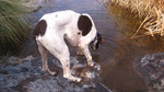 photo thumbnail #11