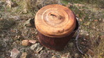 photo thumbnail #12