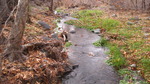 photo thumbnail #13