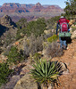 photo thumbnail #10