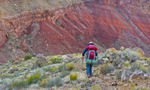 photo thumbnail #14