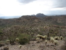 photo thumbnail #4