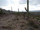 photo thumbnail #6
