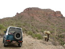 photo thumbnail #14