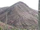 photo thumbnail #10