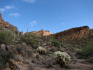 photo thumbnail #15