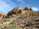 photo thumbnail #2