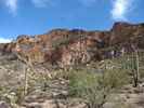 photo thumbnail #13