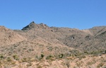 photo thumbnail #9