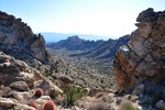 photo thumbnail #2