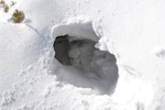 photo thumbnail #14