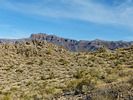 photo thumbnail #2