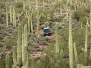 photo thumbnail #9