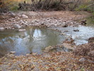 photo thumbnail #11