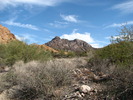 photo thumbnail #1