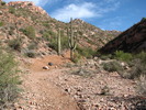 photo thumbnail #7