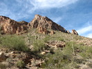 photo thumbnail #10