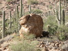 photo thumbnail #11