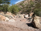 photo thumbnail #12