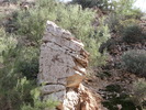 photo thumbnail #15