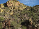 photo thumbnail #8