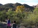 photo thumbnail #11