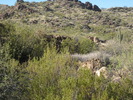 photo thumbnail #10