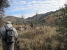 photo thumbnail #10