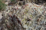 photo thumbnail #3
