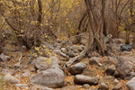 photo thumbnail #8