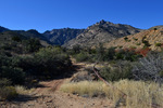 photo thumbnail #1