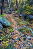 photo thumbnail #6