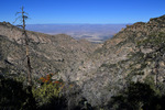 photo thumbnail #11