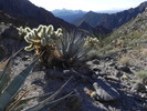 photo thumbnail #4