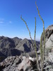photo thumbnail #14
