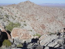 photo thumbnail #7