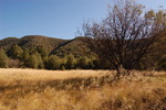 photo thumbnail #11