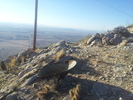 photo thumbnail #10