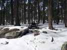 photo thumbnail #2
