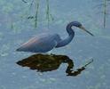 photo thumbnail #13