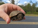 photo thumbnail #1