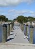photo thumbnail #13
