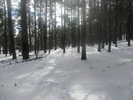 photo thumbnail #13
