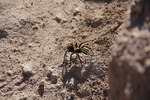 photo thumbnail #5
